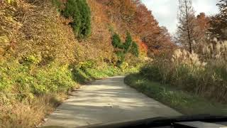 部子山林道（P5～4あたりかな？）｜福井県池田町