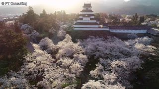 空撮　福島県会津若松市「鶴ヶ城（会津若松城）」桜　Aerial Shoot above Tsuruga Castle at Fukushima, Japan