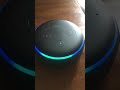 Cool Alexa Feature.