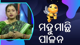 ମହୁମାଛି ପାଳନ || HoneyBee Cultivation || Krushi darshan