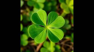 A lucky🍀 break after betrayal from ur fam/singer🎶/community! Some1 is not giving up on you!💕
