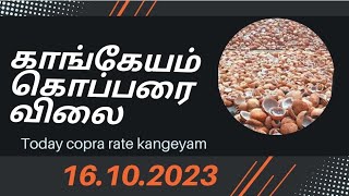 இன்றைய காங்கேயம் கொப்பரை விலை || today kangeyam copra rate ||16.10.2023