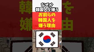 なぜか韓国人を嫌うお前らの意見をまとめた韓国人を嫌う理由書いてく#韓国人#嫌い