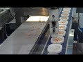 yaskawa shrimp sorting robot at irex 2009