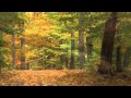Just Muz - October 10th