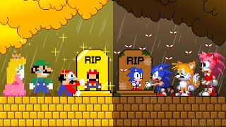 Rich Mario vs. Poor Sonic Family: R.I.P Baby Challenge - Baby Sonic Says Goodbye