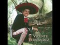 cantina mix vicente fernandez vol.2 grandes exitos sin sellos