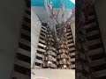 笑シュレッダーツリー、最も満足のいくビデオ lol shredding tree most satisfying video shredding machine 71