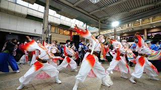 よさこい総踊り 🎵そいじゃが 📍かごしま春祭 大ハンヤ (ベルク広場) 📅2022-04-23T16:46