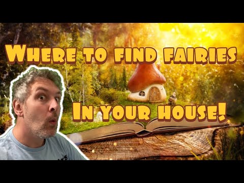 What is a fairies home called?