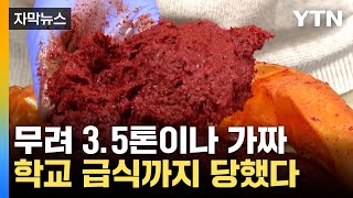 [자막뉴스] 모두 다 가짜... 학교 급식까지 당했다 / YTN