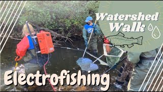 Electrofishing- Watershed Walk