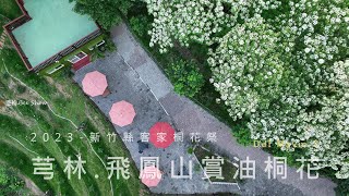 202304芎林飛鳳山桐花| DJI Mavic 3|島嶼的蒼穹空拍389|4K空拍 Bee Show 2023 TAIWAN