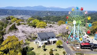 ぶらり1人旅【鹿児島県 霧島市 国分城山公園】