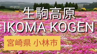 九州 生駒高原 IKOMA KOGEN