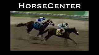 The Best of the Belmont Stakes on HorseCenter