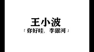 【王小波】那些让人一眼泪目的话，那些经典或致郁的句子文摘。