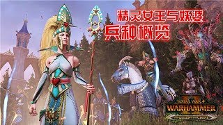 阿姆西解說《全軍破敵戰鎚2》精靈女王與妖婆DLC兵種概覽 Total War WARHAMMER II