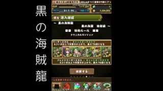 パズドラ  黒の海賊龍 愛貓神バステト16PT攻略