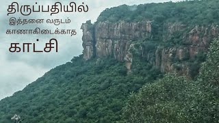 திருப்பதியில் இத்தனை வருடம் காணாகிடைக்காத காட்சி