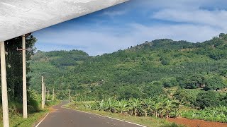 Exploring the Scenic Hills of Kollimalai | Nature | EP1