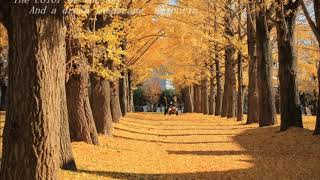 水戸歴史館の紅葉風景