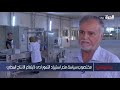 بالعراقي مختصون سياسة منع استيراد التمور أدت إلى ارتفاع الإنتاج المحلي