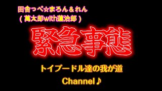 【緊急事態】まろん君が体調不良で血便が…　＃愛犬＃81＃犬病気