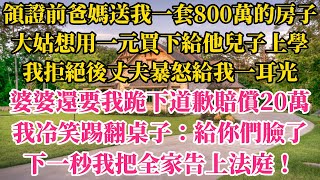 領證前爸媽送我一套800萬的房子！大姑想用一元買下給他兒子上學，我拒絕後丈夫暴怒給我一耳光！婆婆還要我跪下道歉賠償20萬，我冷笑踢翻桌子：給你們臉了！下一秒我把全家告上法庭！