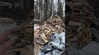 Alaskan Winter Wood Consumption | Rocket Mass Heater #alaska #offgrid