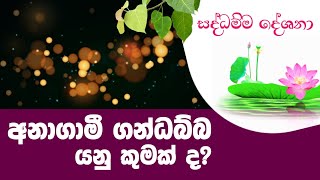 අනාගාමී ගන්ධබ්බ යනු කුමක් ද? | Daham Atuvawa