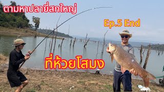 ตามหาปลายี่สกใหญ่ ที่ห้วยโสมง Ep.5