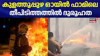 കൊല്ലം കുളത്തൂപ്പുഴ ഓയില്‍ ഫാമിലെ തീപിടിത്തത്തില്‍ ദുരൂഹത | Kulathupuzha Fire Accident | Kollam