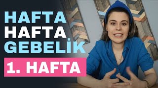 Hafta Hafta Gebelik - 1 Haftalık Gebelik