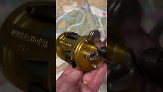 Penn international 965 fishing reel of the day #fish