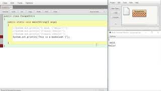 AP Computer Science Escape Sequences