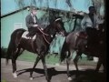 unbelievable thoroughbred heroes 1