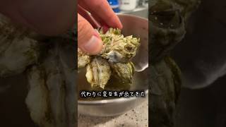 Japanese chef funny crazy seafood video😂😂😂|Tiktok the Best!! #shorts #TikTok