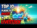 Investing in Livestock A Journey Through Top 10 Innovative Platforms#investing #business #success