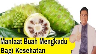 Manfaat buah mengkudu bagi kesehatan