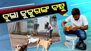 The Bond of Friendship: How a Man Became Saviour for Stray Animals in Nuapada