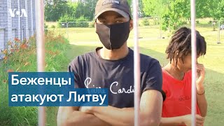 В Литву со стороны Беларуси ежедневно пробираются десятки нелегальных мигрантов