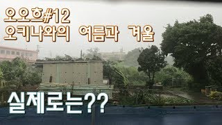 [오오흐#12] 오키나와의 여름과 겨울. 실제 날씨는 어떨까요?