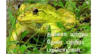 தவளை மற்றும் தேரை பற்றிய தமிழ் பழமொழிகள்-Proverbs about Frogs and Toads