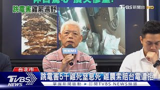 跳電害5千雞死窒息死 雞農索賠台電遭拒｜TVBS新聞 @TVBSNEWS01