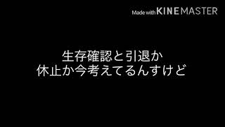 生存確認と引退か休止報告