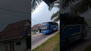 Jasenk | Bus Kenanga Trans