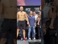 INTENSE FACE OFF Alex Pereira vs Jan Blachowicz FINAL FACE OFF UFC 291