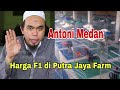 Harga F1 umur 3 bulan di Putra Jaya Farm