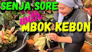 Kegiatan sore hari #dailyvlog